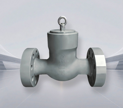 check valves