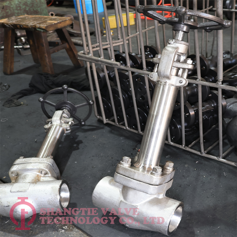 CRYOGENIC GLOBE VALVE_(1182)