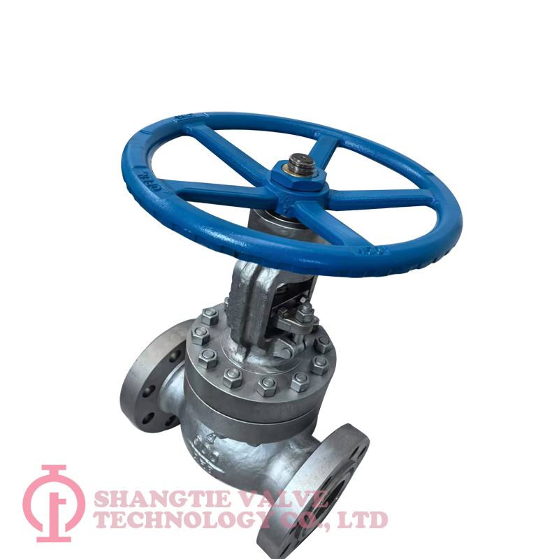 API603 Globe Valve_(1120)