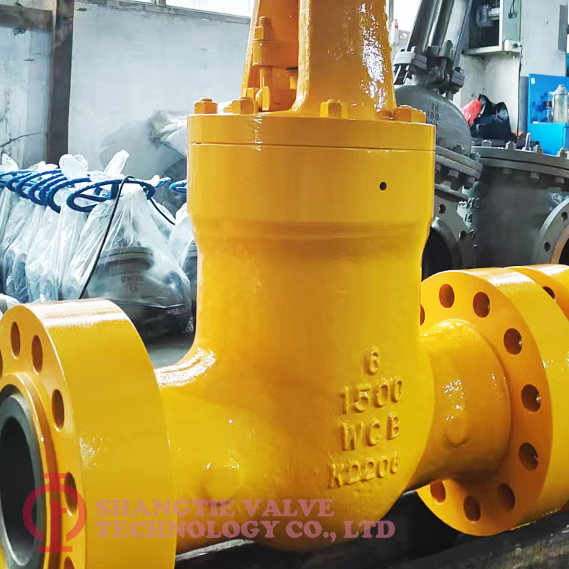 PRESSURE SEALED GATE VALVE_5441