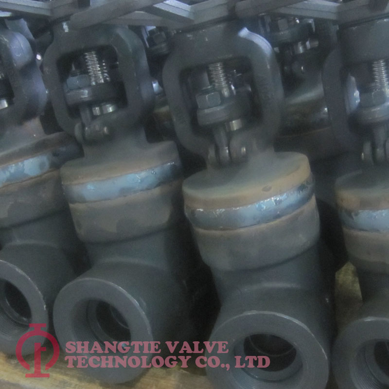 WB WELDED BONNET FORGED STEEL GATE VALVE_6333
