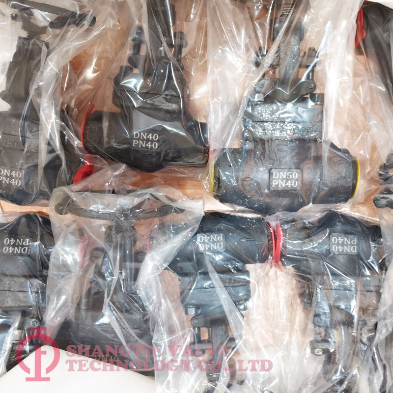 A105N FORGED STEEL GLOBE VALVE_9960