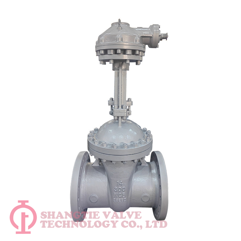 BEVEL GEAR OPERATED WEDGED GATE VALVE_6262