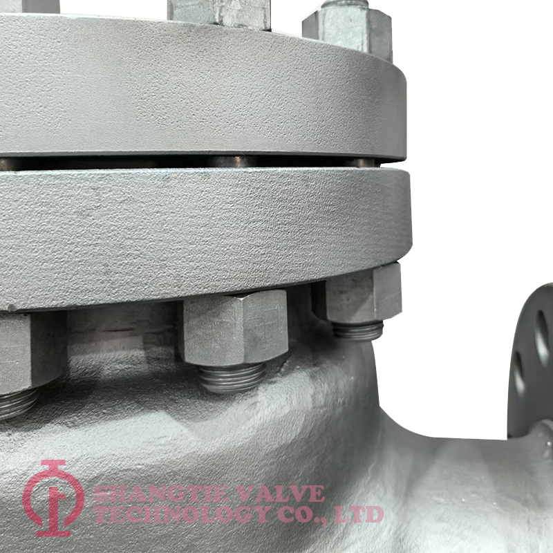 BS1873-stainless-steel -globe valve_(5940)
