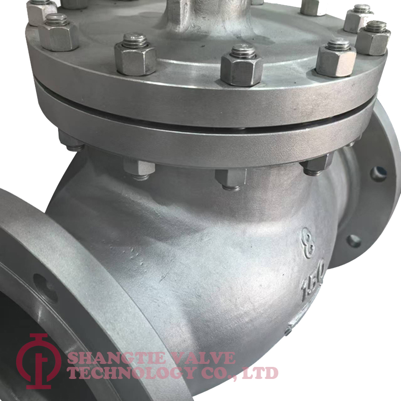 Industrial-Stainless Steel-Check Valve_(8730)