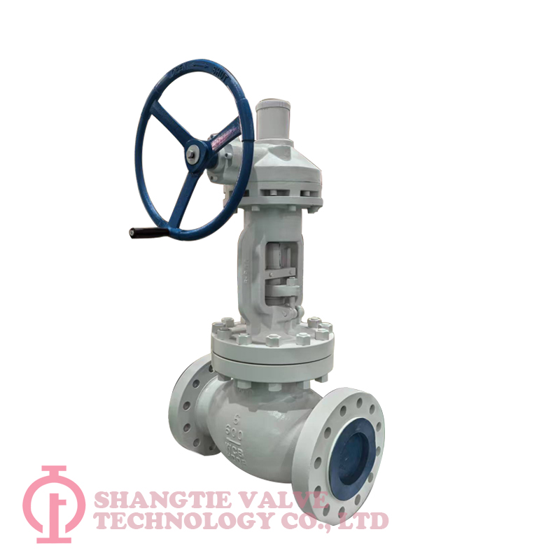 API600 Globe Valve_(9760)