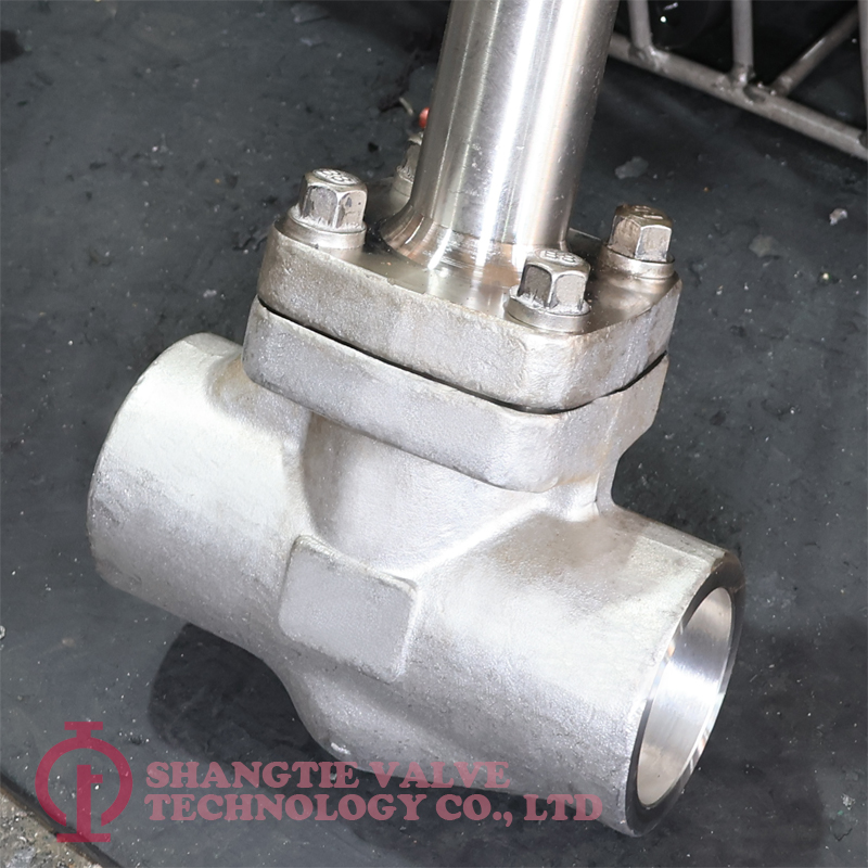 API 602 STAINLESS STEEL A182 F304 CRYOGENIC GLOBE VALVE_(1090)