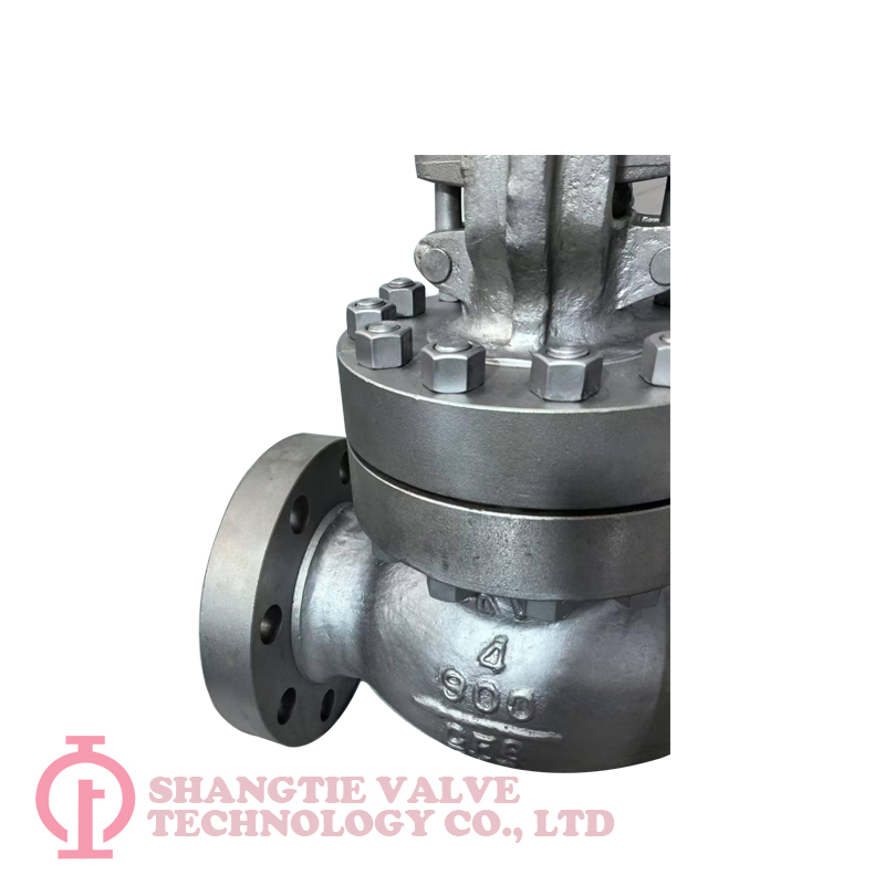 CF8 flange Globe Valve_(2200)