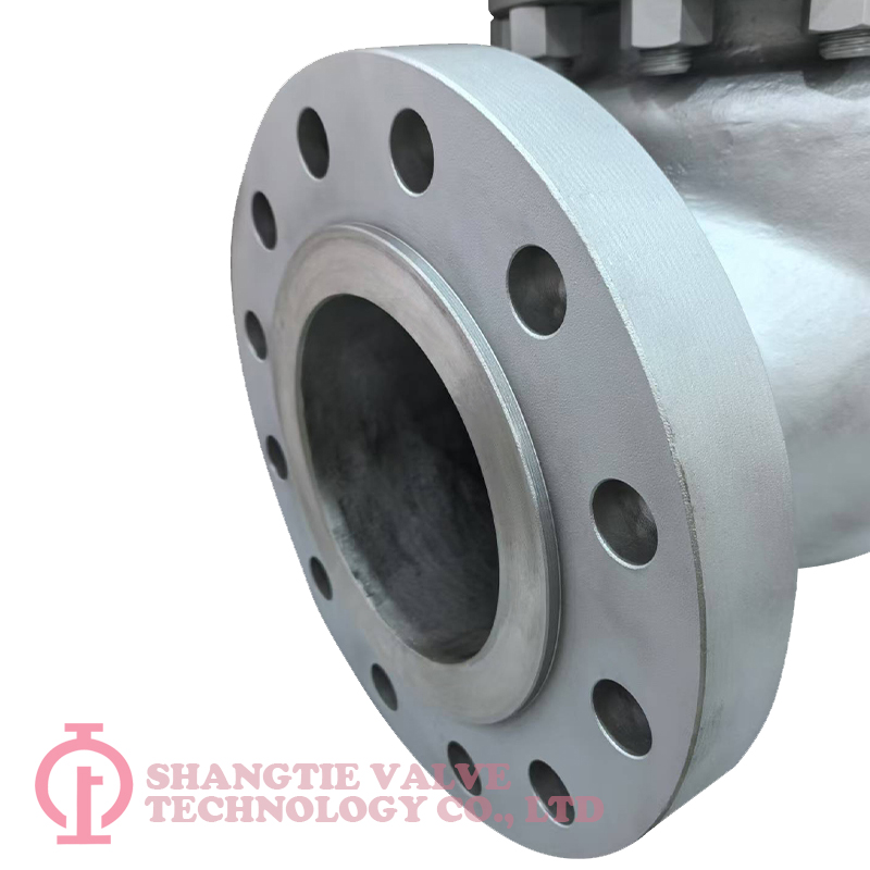 BS1868-Stainless Steel-Check Valve_(1540)