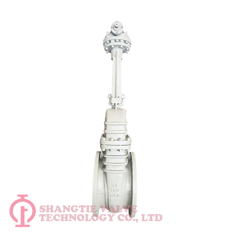 API WEDGED GATE VALVE_6191
