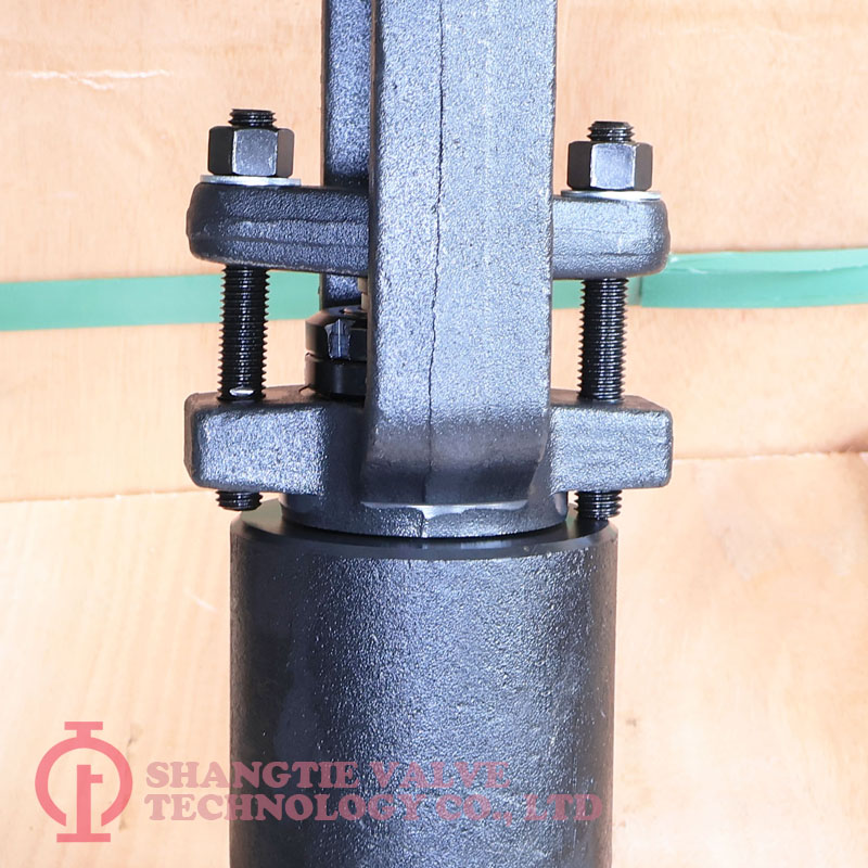 PRESSURE SEALED GLOBE VALVE_1973