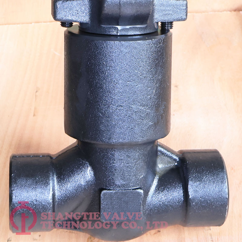 A105N PRESSURE SEALED FORGED STEEL GLOBE VALVE_1340