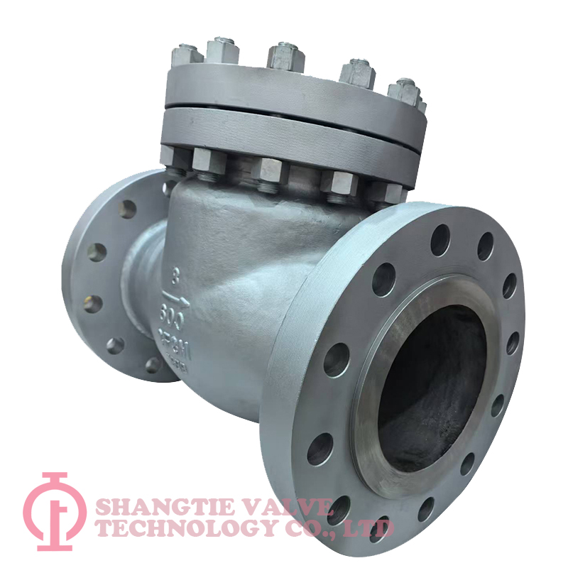 API-Industrial-Stainless Steel-Check Valve_(1760)