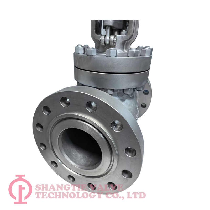 Stainless Steel Globe Valve_(4460)