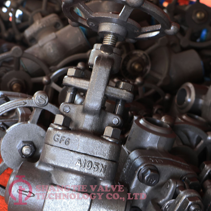 DIN Standard Forged Steel Stop Valve_9982