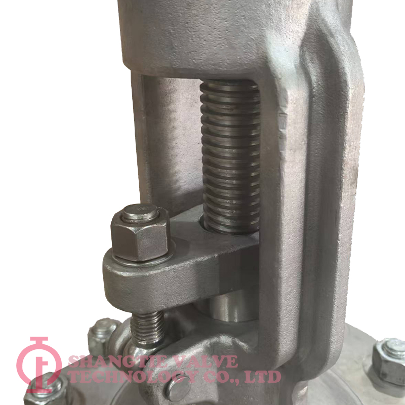 duplex stainless steel-globe valve_(4890)