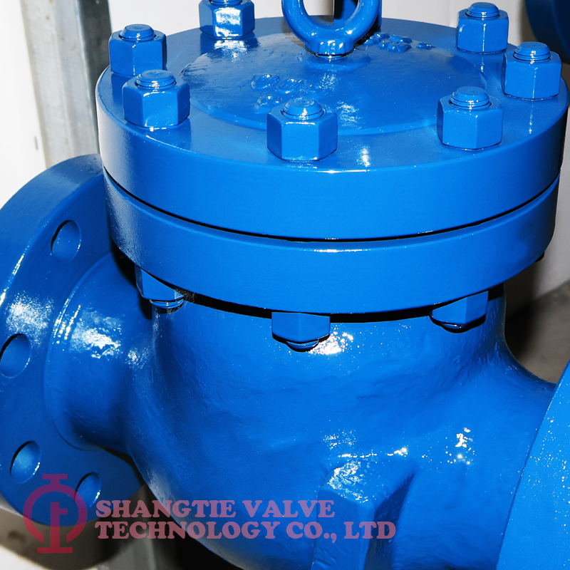API STANDARD CHECK VALVE_4393