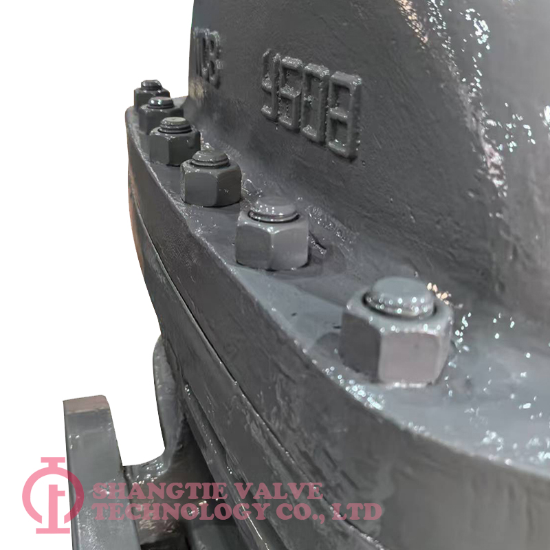 Flange Wedge Gate Valve picture_(2170)