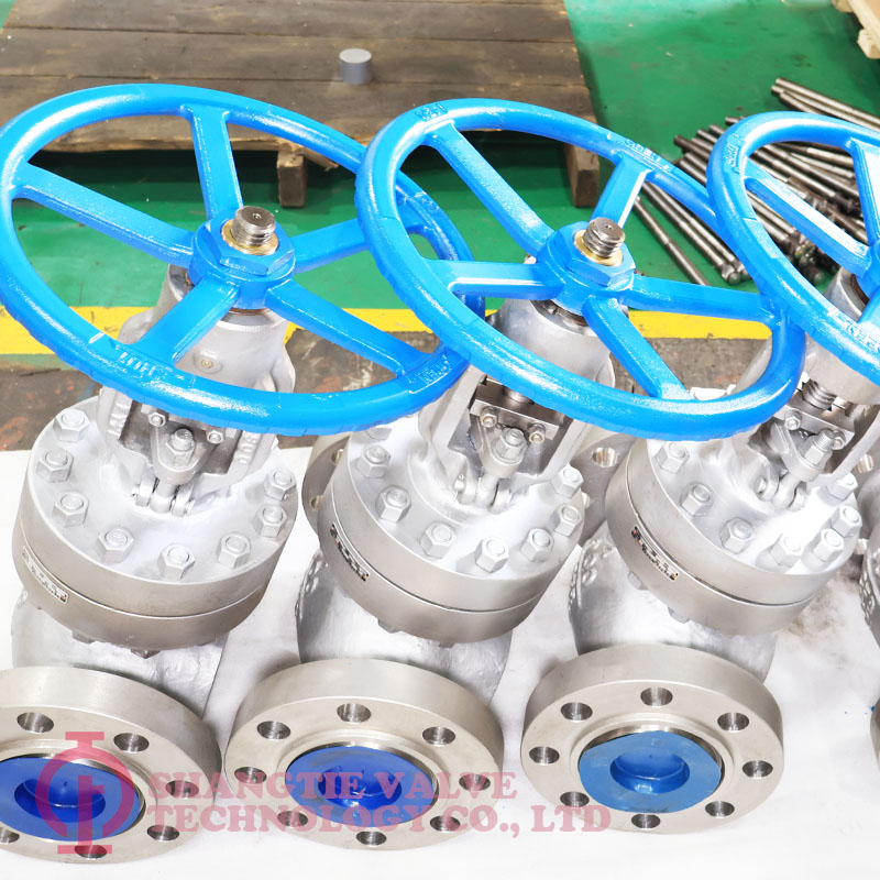 API STAINLESS STEEL CF8 GLOBE VALVE_6200