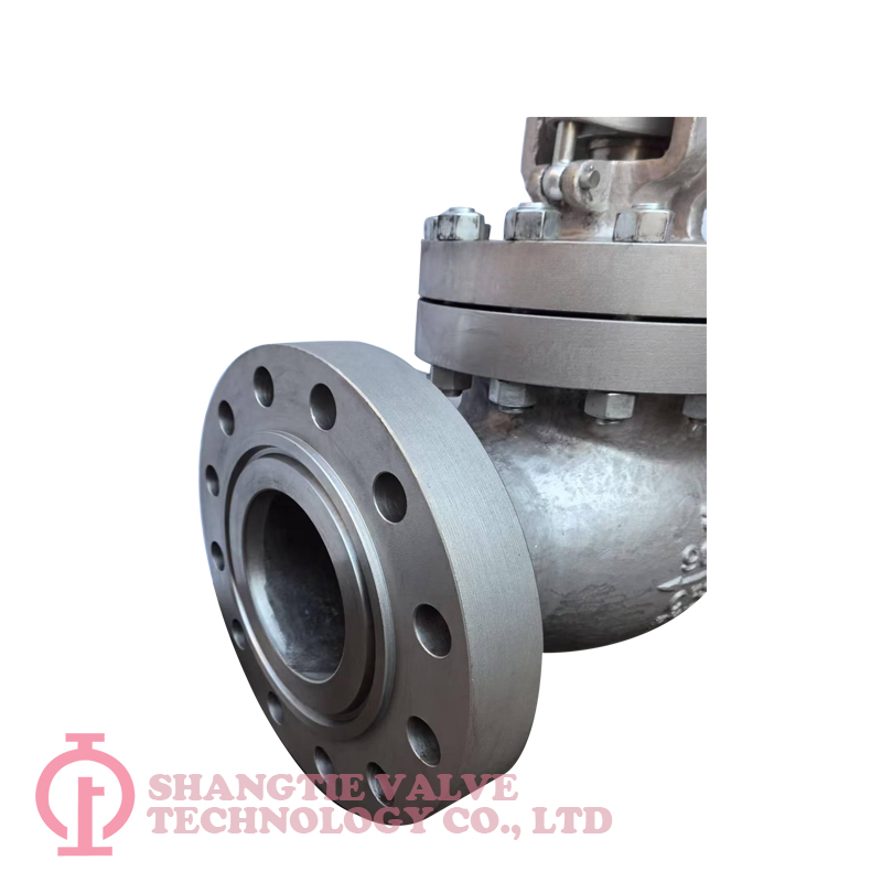 API Globe Valve_(7270)
