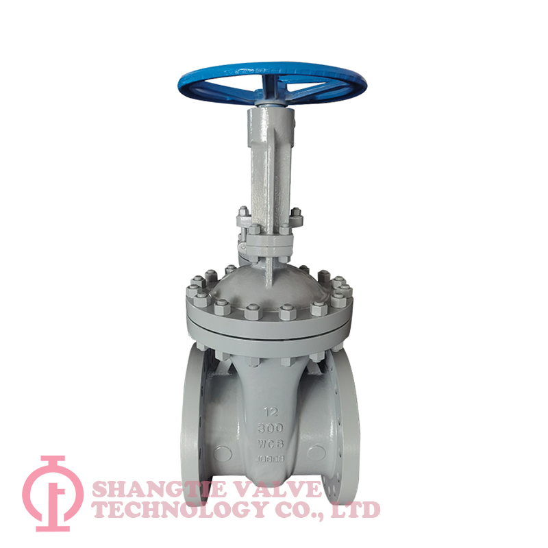 wedged gate valve_6484