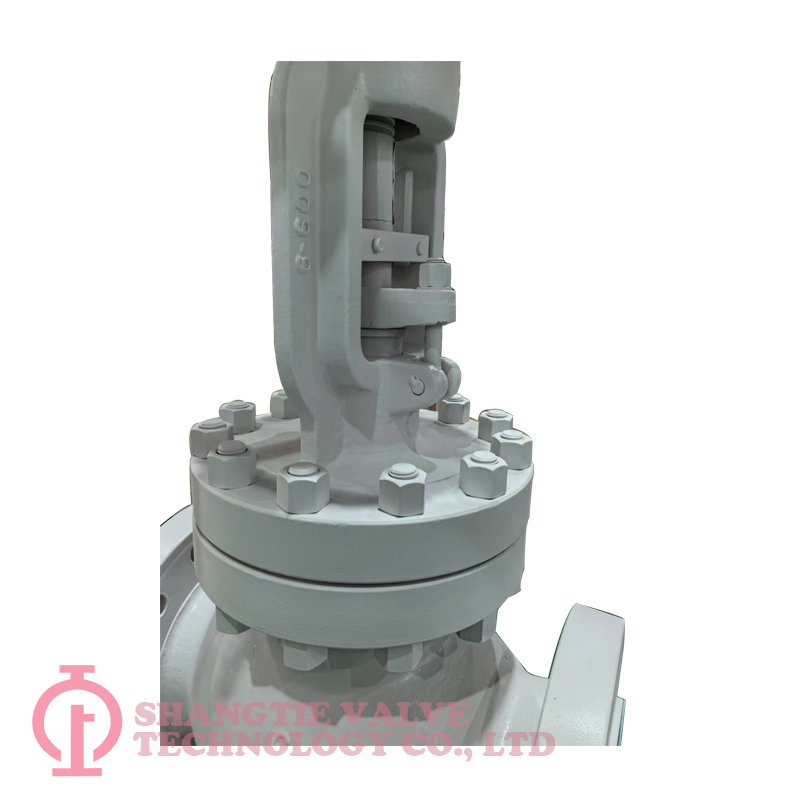 Flange Bevel Gear Operated Globe Valve_(4140)