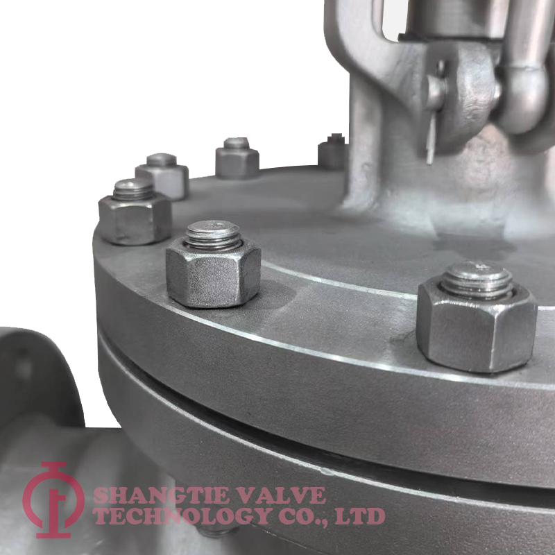 duplex stainless-steel-globe valve_(4240)