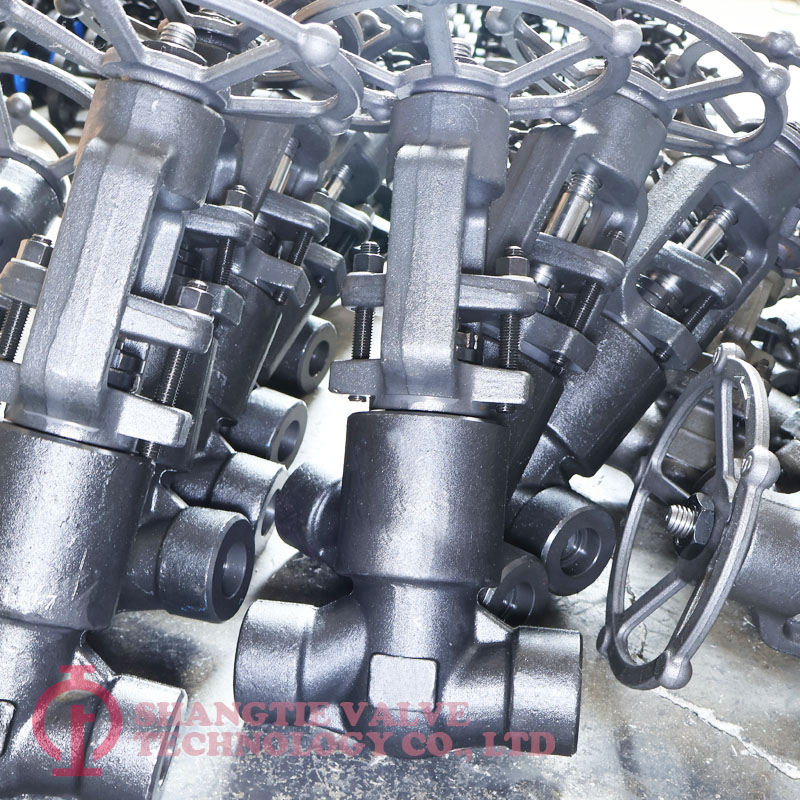 DIN STANDARD PRESSURE SEALED FORGED STEEL GLOBE VALVE_1481