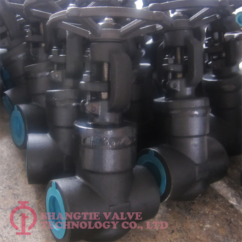 COMPACT STEEL GATE VALVE_5980
