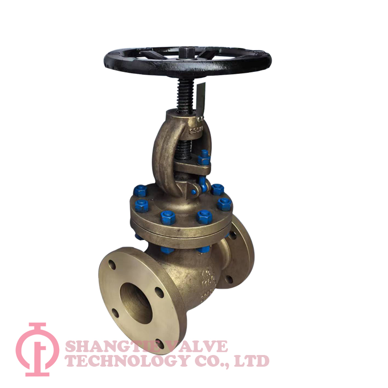 Aluminum Bronze API Globe Valve_(6180)
