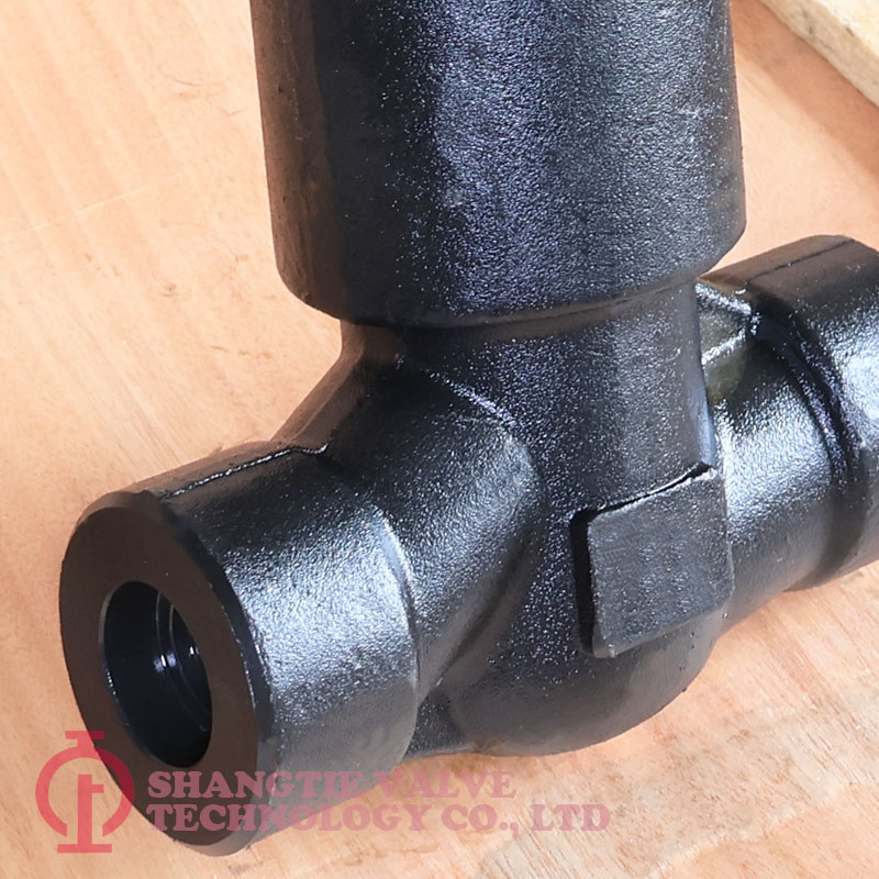 SW END PRESSURE SEALED FORGED STEEL GLOBE VALVE_2164