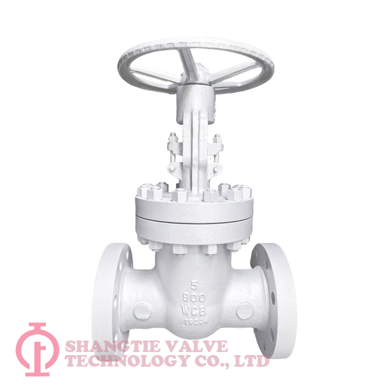 CAST STEEL GATE VALVE_6393