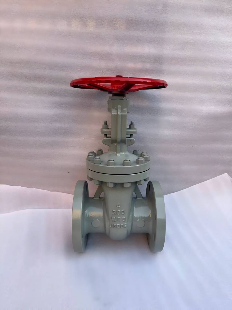 wcb-flanged-gate-valve-3d-model