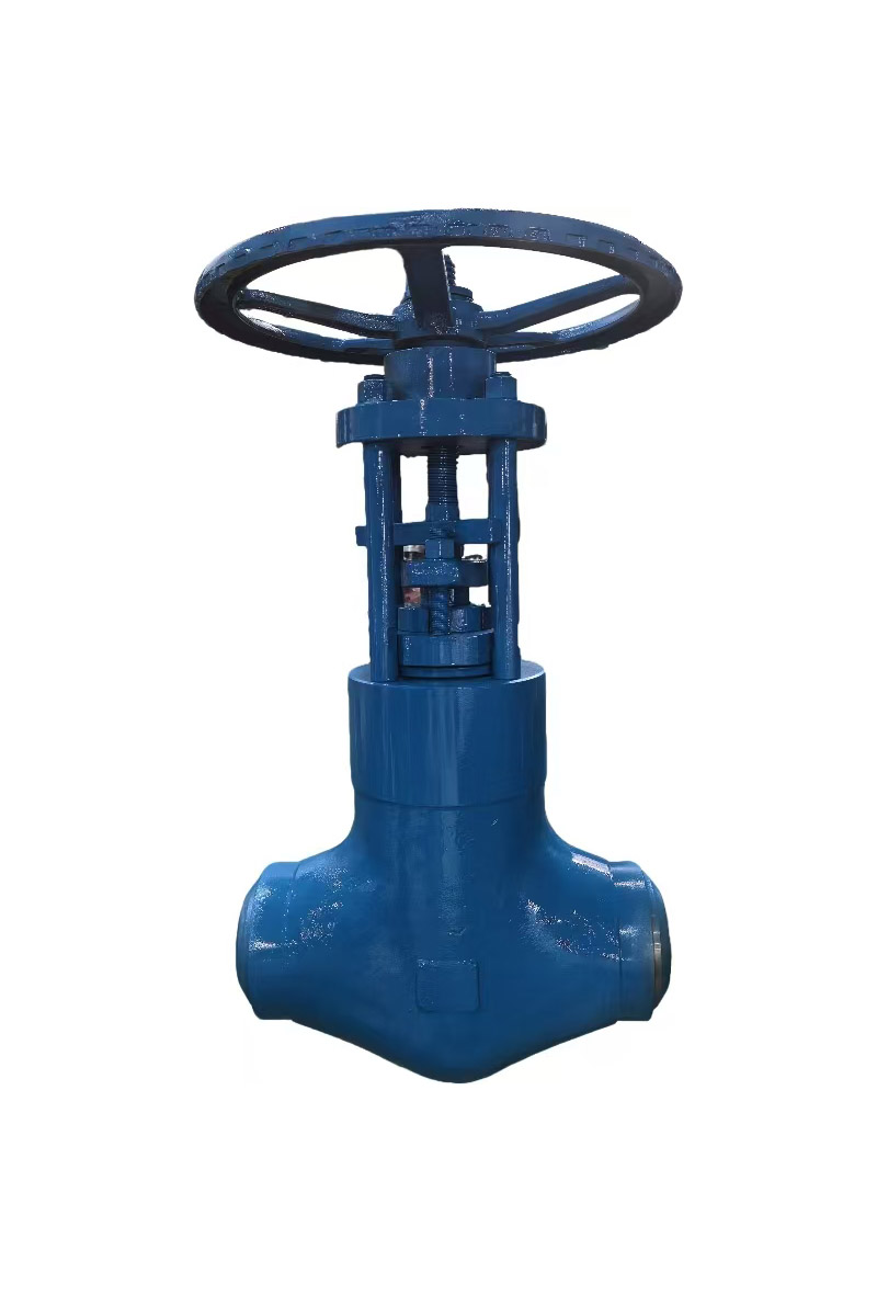 2500lb-forged-bw-api600-power-station-globe-valve