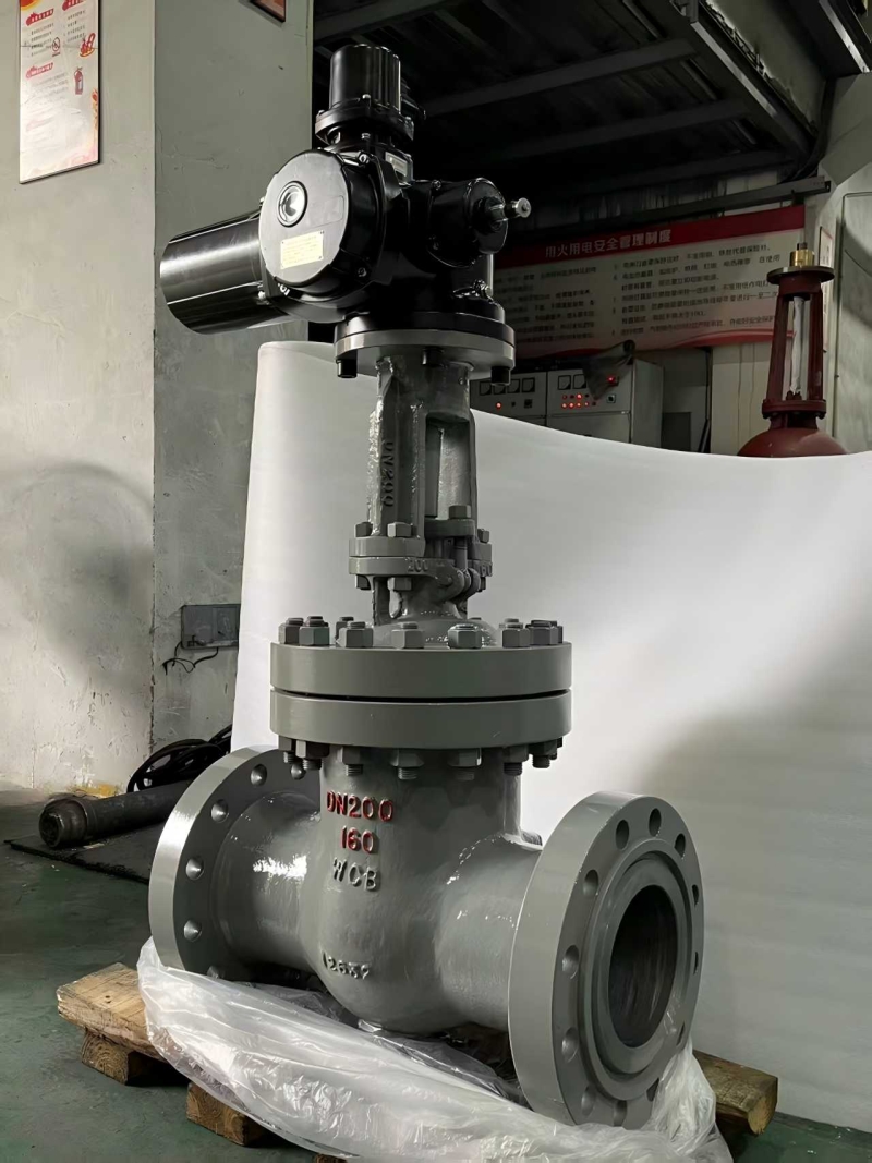 high-pressure-flanged-gost-gate-valve-cross-section