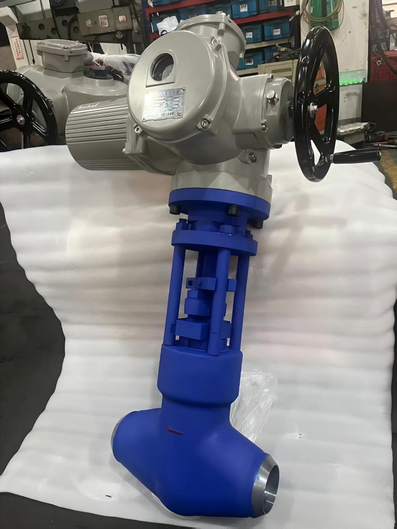 api600-die-forged-globe-valve-cross-section