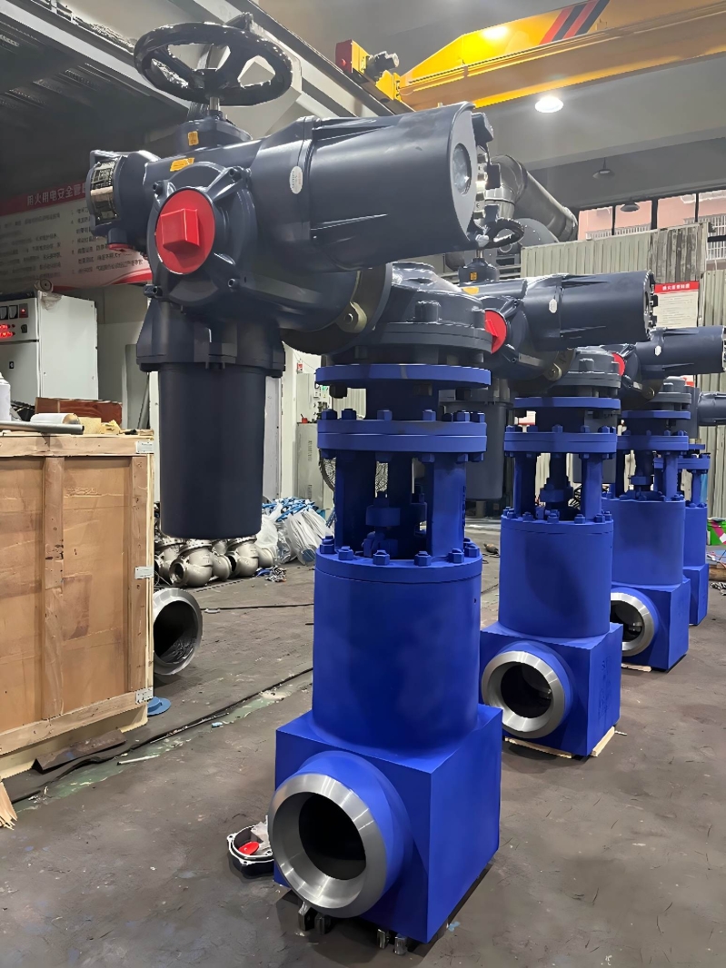 api600-pressure-seal-gate-valve-datasheet