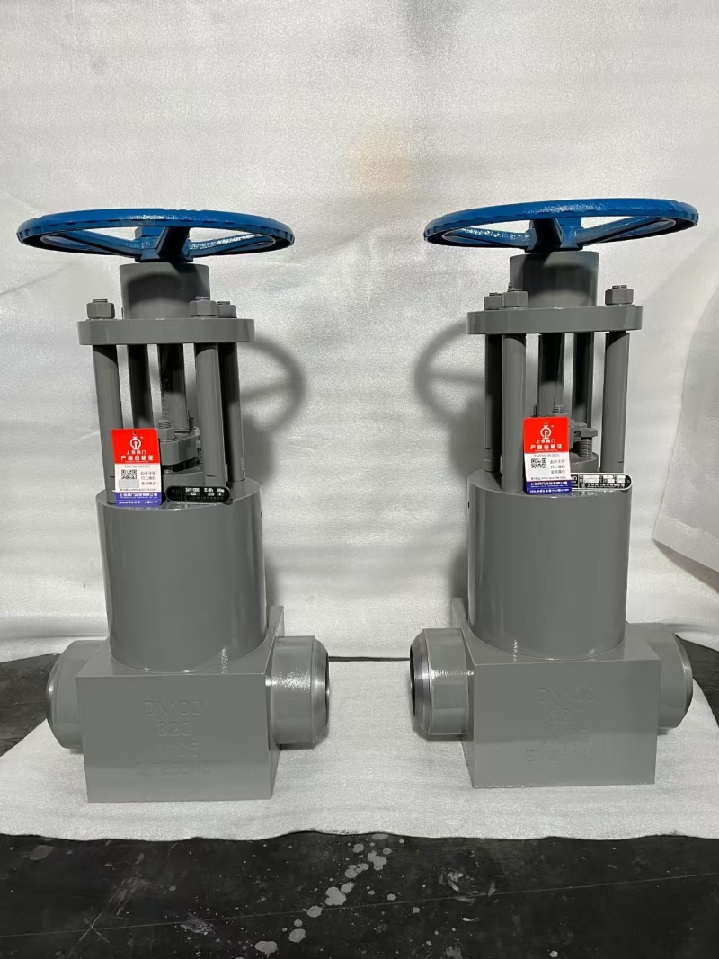 a105-api600-pressure-seal-gate-valve-cross-section