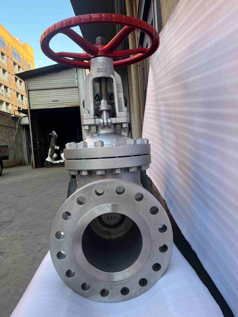 api603-corrosion-resistant-gate-valve-cross-section