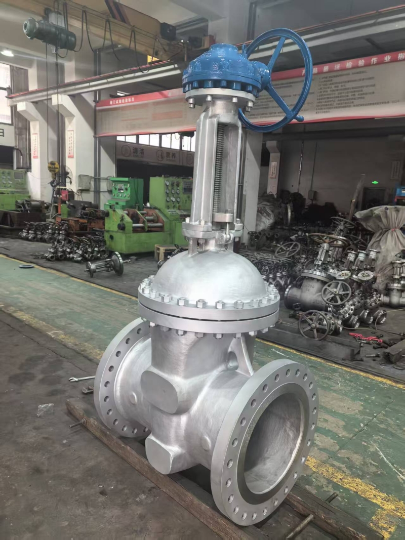 api600-large-bore-duplex-gate-valve-cross-section