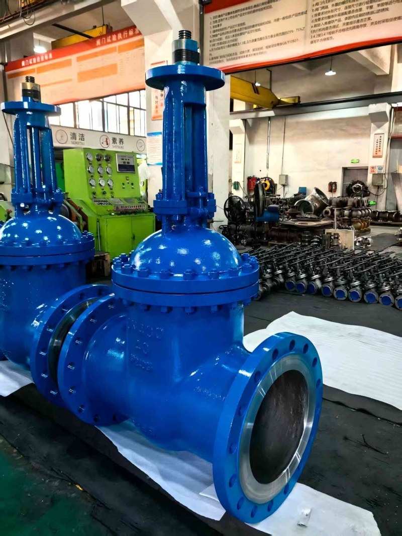 made-in-china-din-standard-gate-valve-cross-section