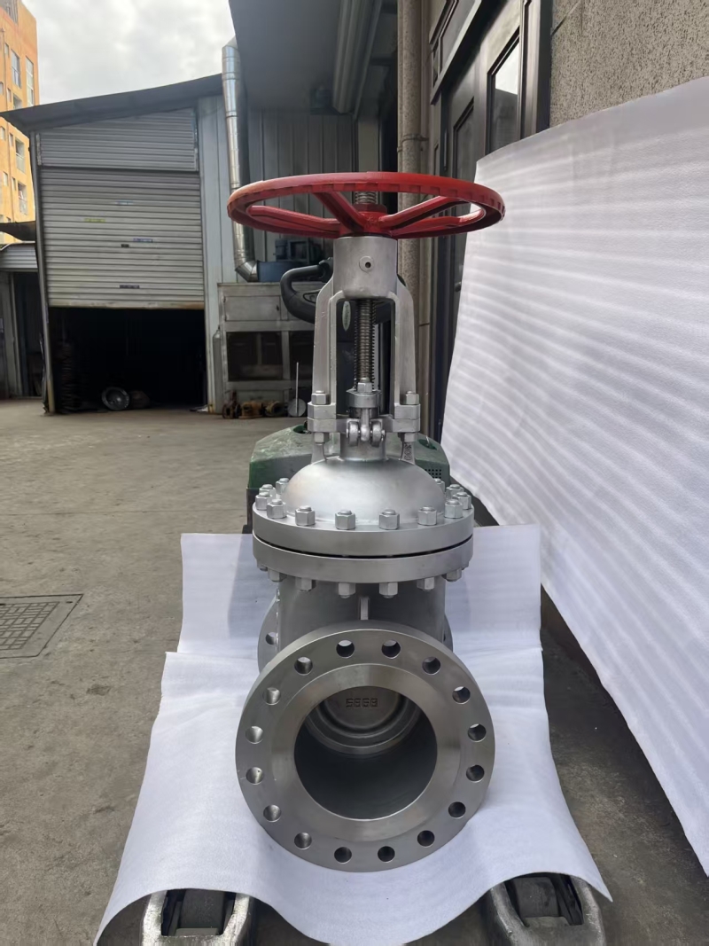 cf3m-stainless-steel-gate-valve-for-chemical-plant