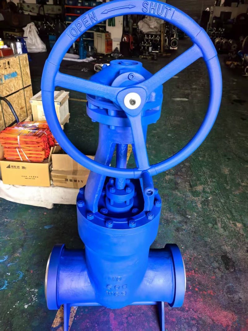a217-wc9-pressure-seal-gate-valve-for-power-plant