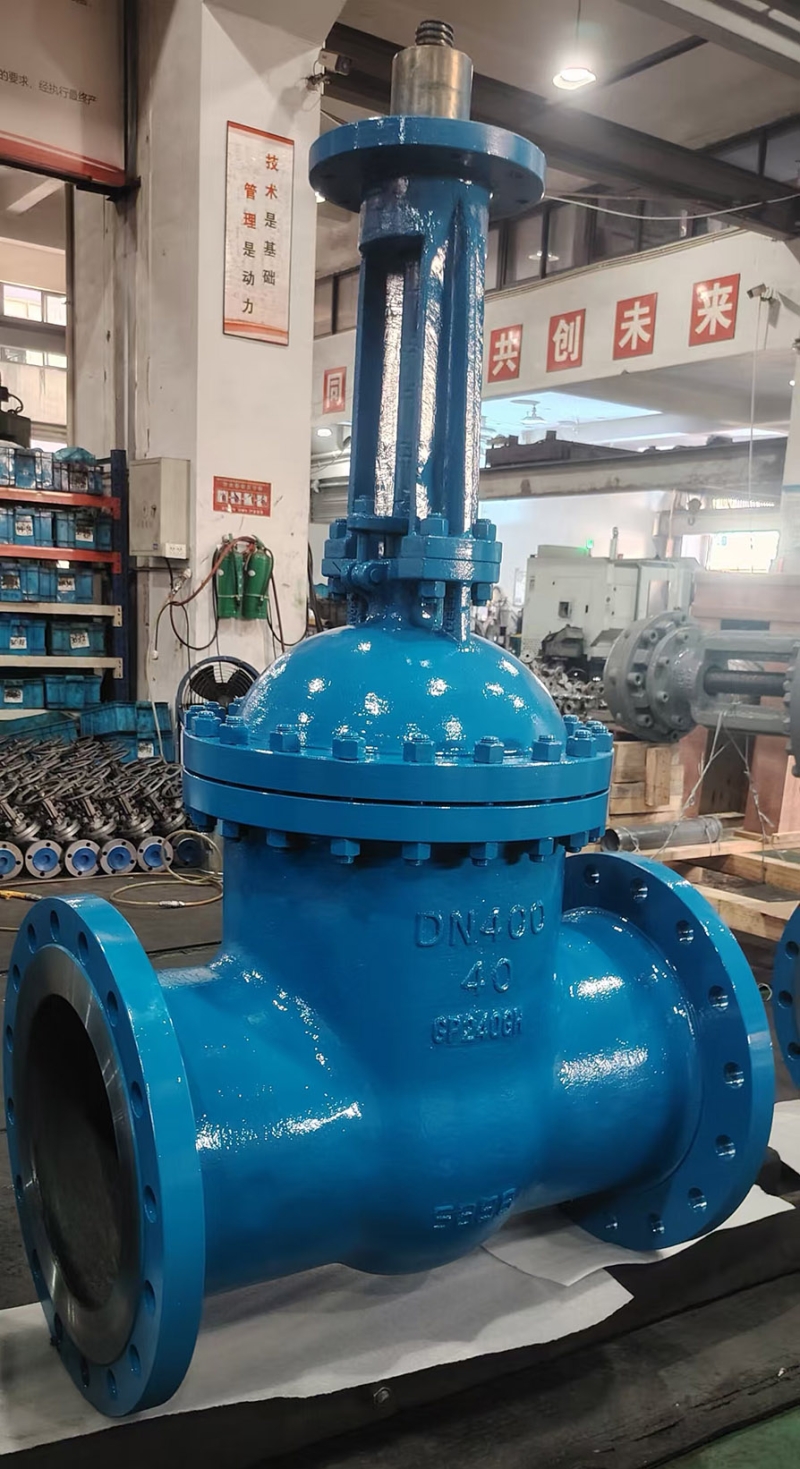 din-electric-flanged-gate-valve-cross-section