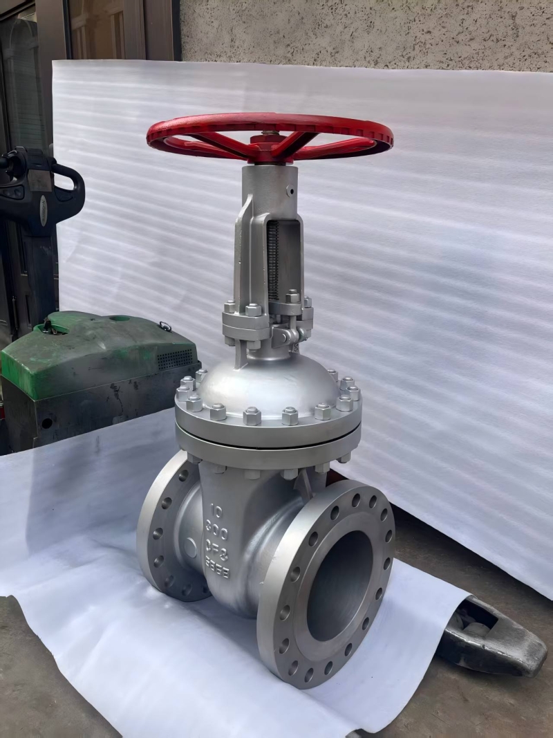api600-class300-316l-gate-valve-datasheet