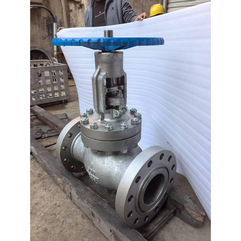 class900-cf8-globe-valve-for-chemical-plant