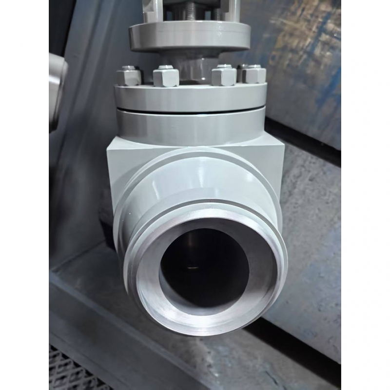 integral-forged-a105-globe-valve-cross-section