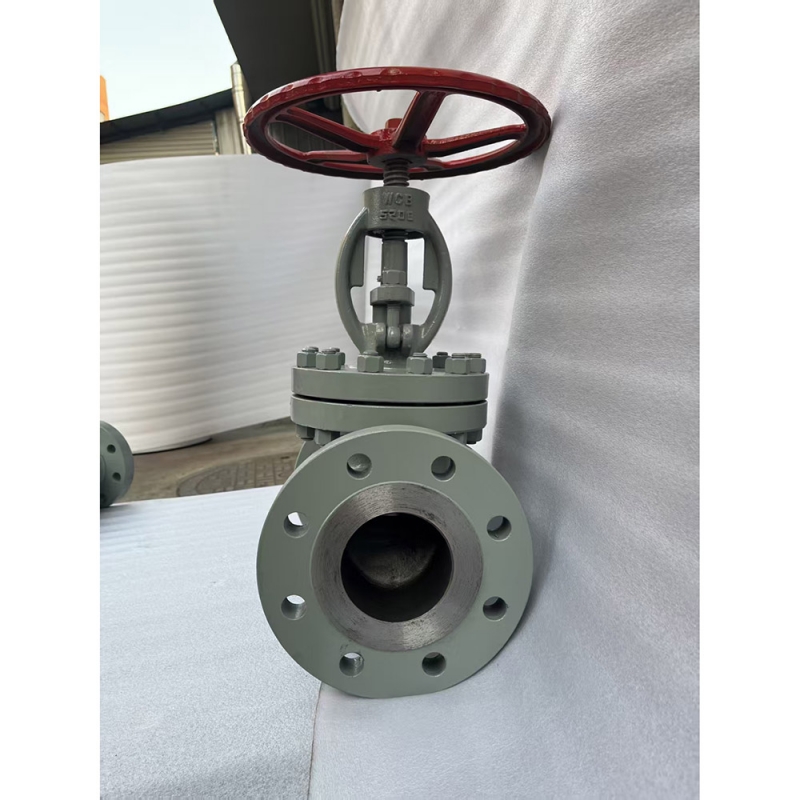 bs1873-cf8-stainless-steel-globe-valve-datasheet