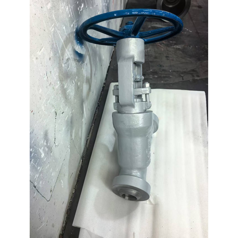 class1500-api600-y-globe-valve-datasheet