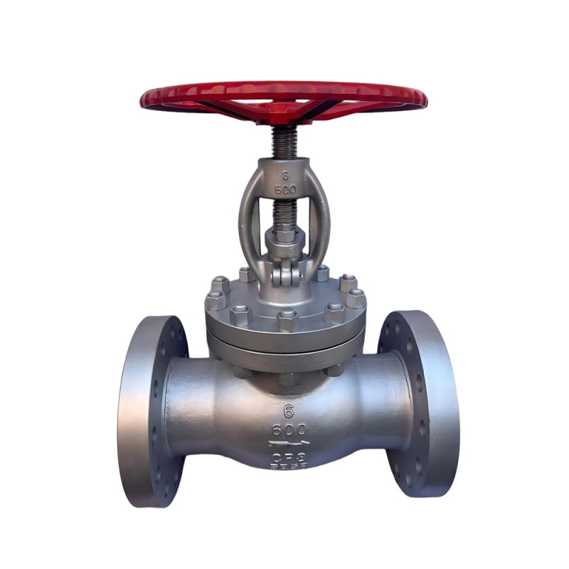 Class 600 API 600 CF8M Stainless Steel Flanged Globe Valve
